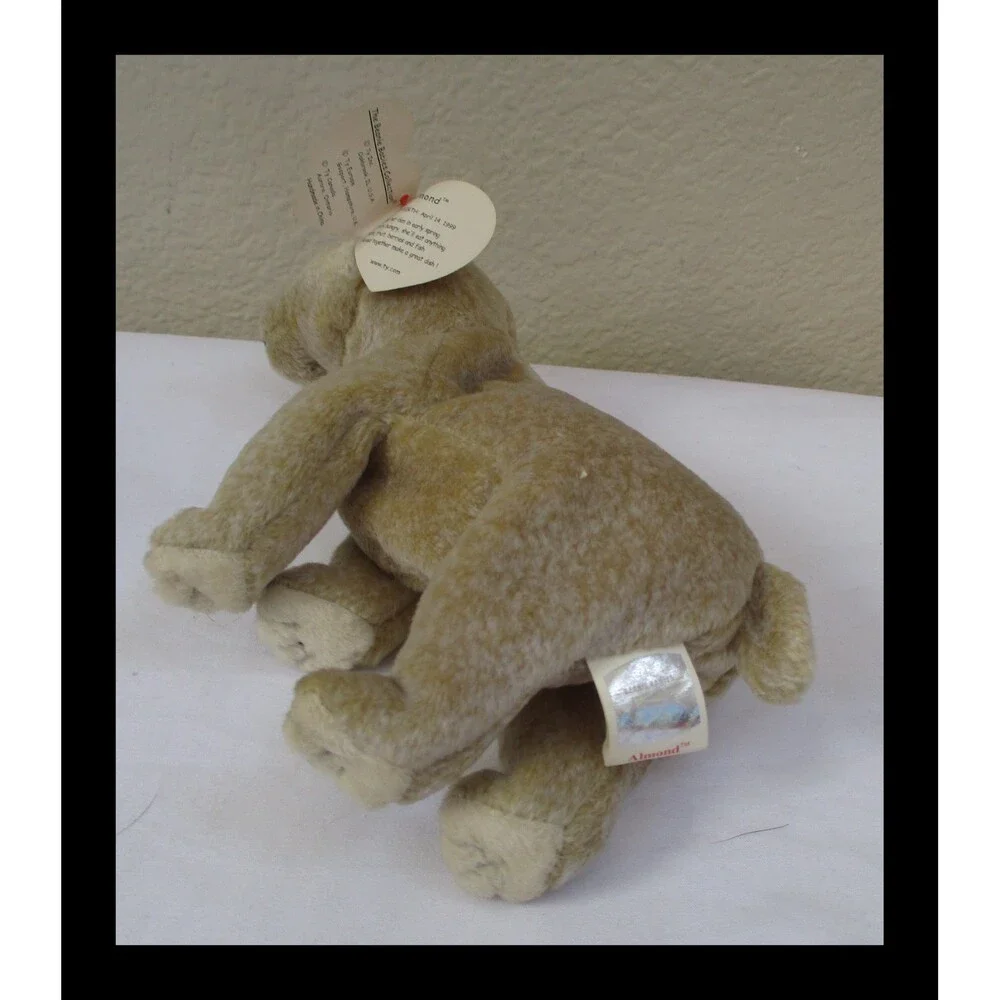 Ty Beanie Baby Almond The Bear CREASED TAG